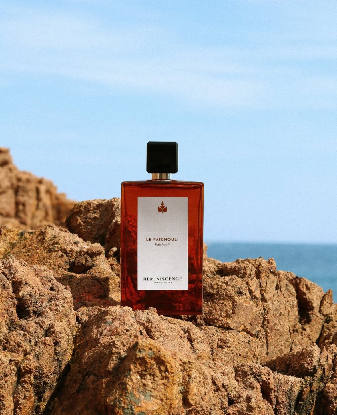 REMINISCENCE LE PATCHOULI EDT INTENSE 50 ML