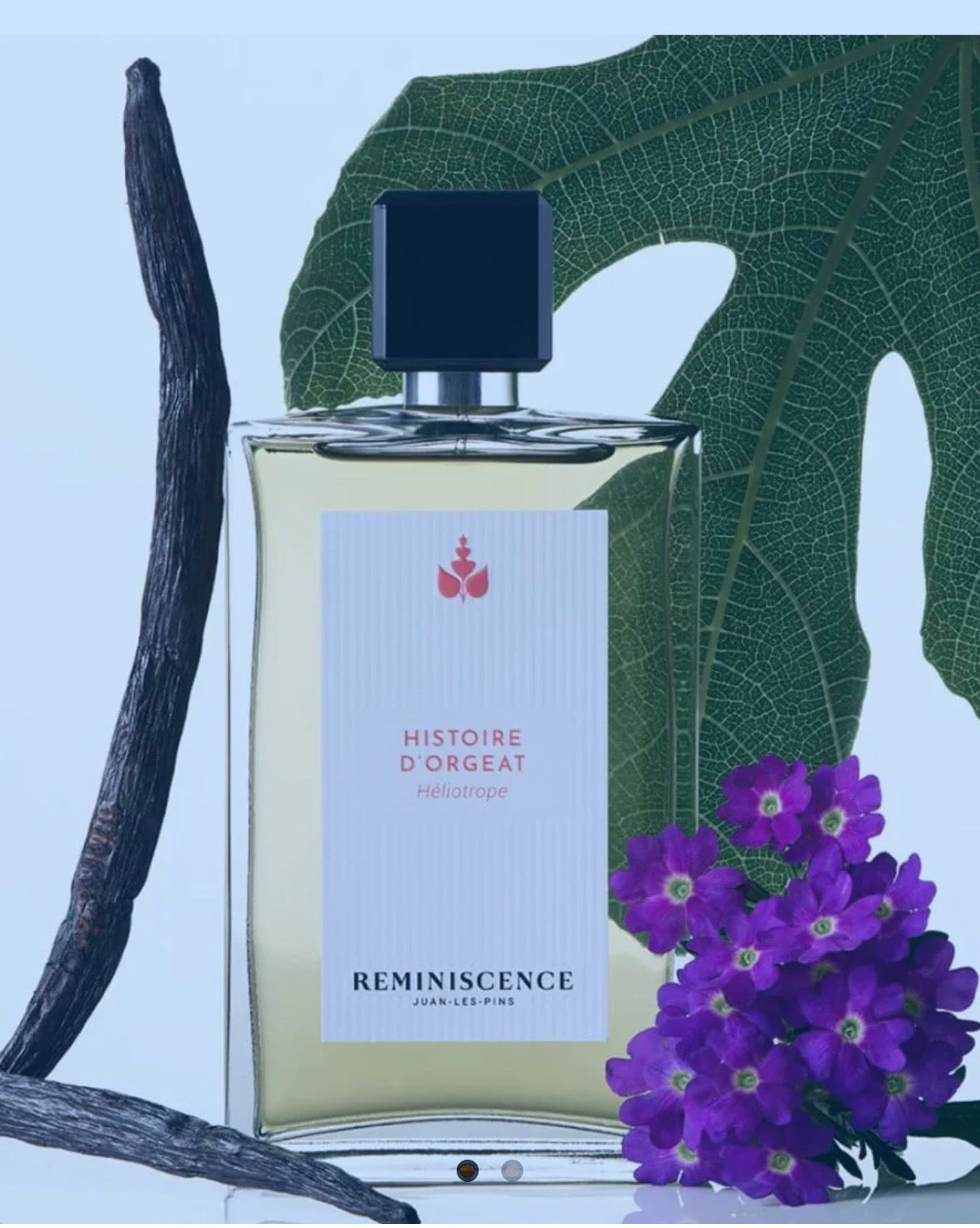 REMINISCENCE HISTOIRE D'ORGEAT EDP 100 ml