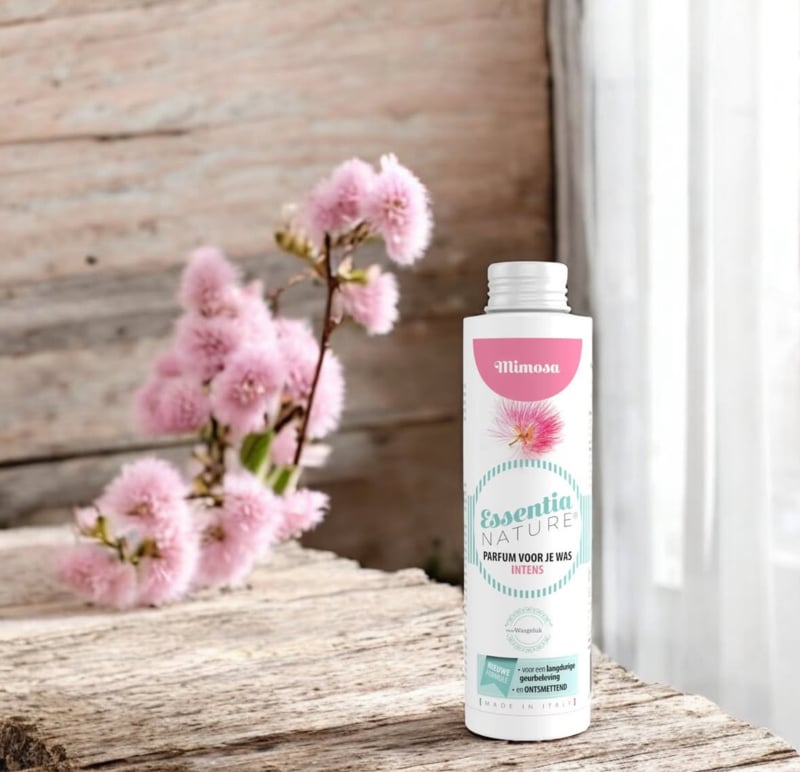 Wasgeluk Mini Mimosa