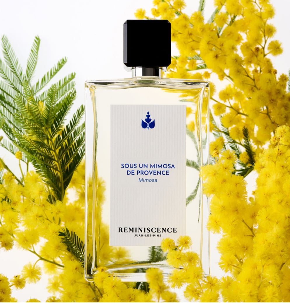 REMINISCENCE SOUS UN MIMOSA DE PROVENCE EDT 50 ML